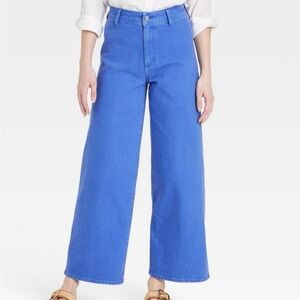 Universal Thread Blue Denim Pants